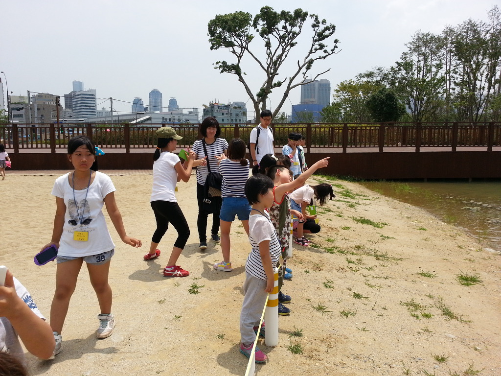 20140628_131509[1].jpg