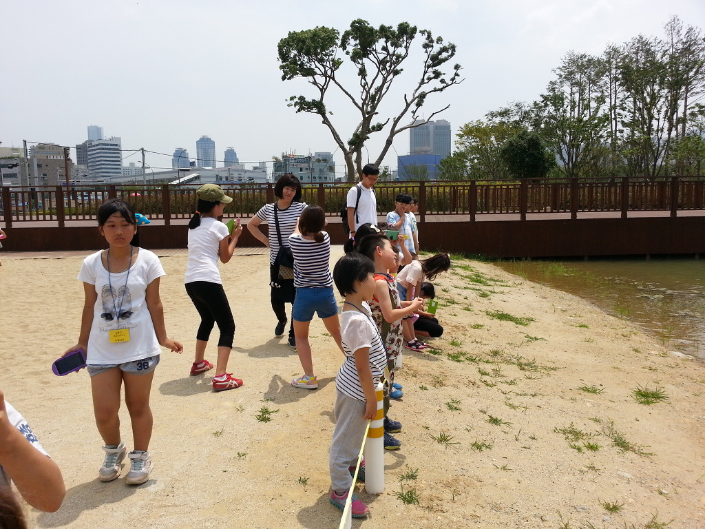 20140628_131508[1].jpg