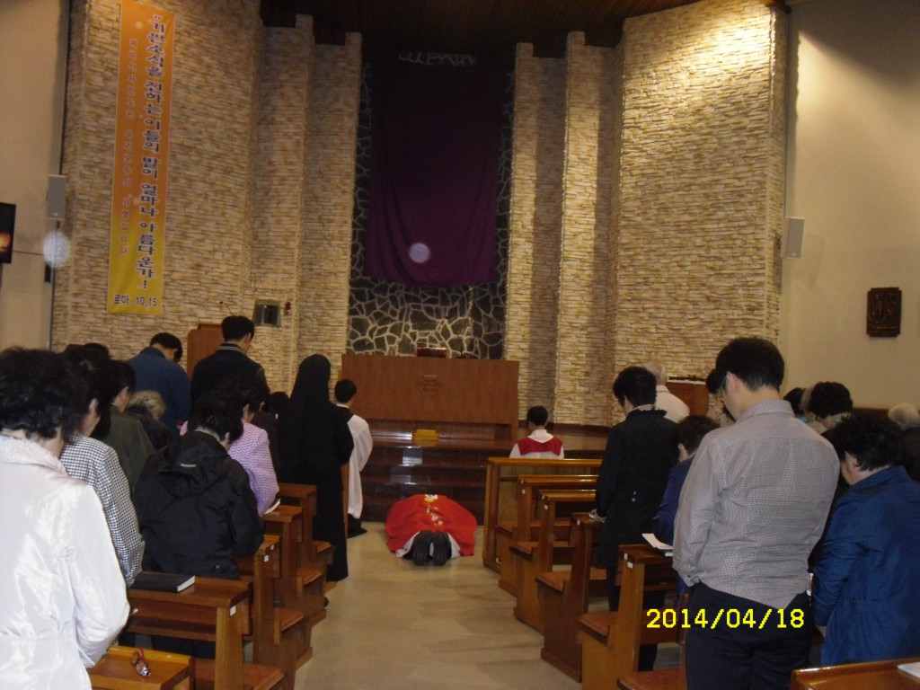 SDC12653.JPG