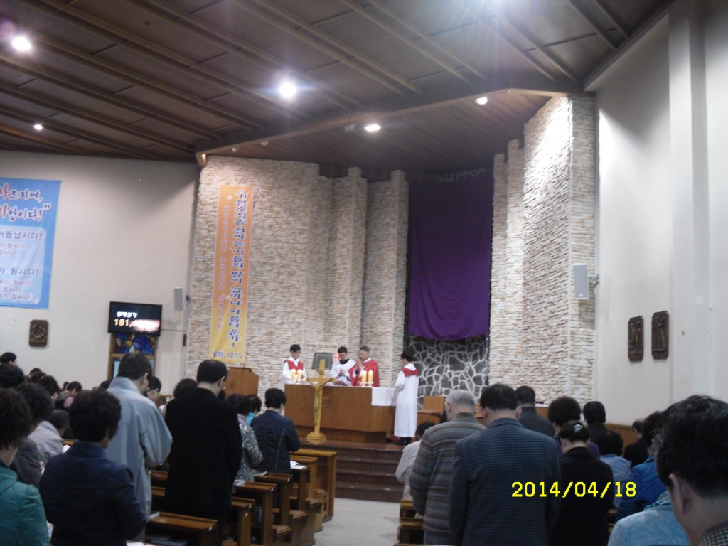 SDC12710.JPG