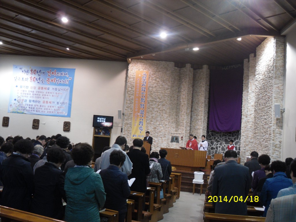 SDC12671.JPG