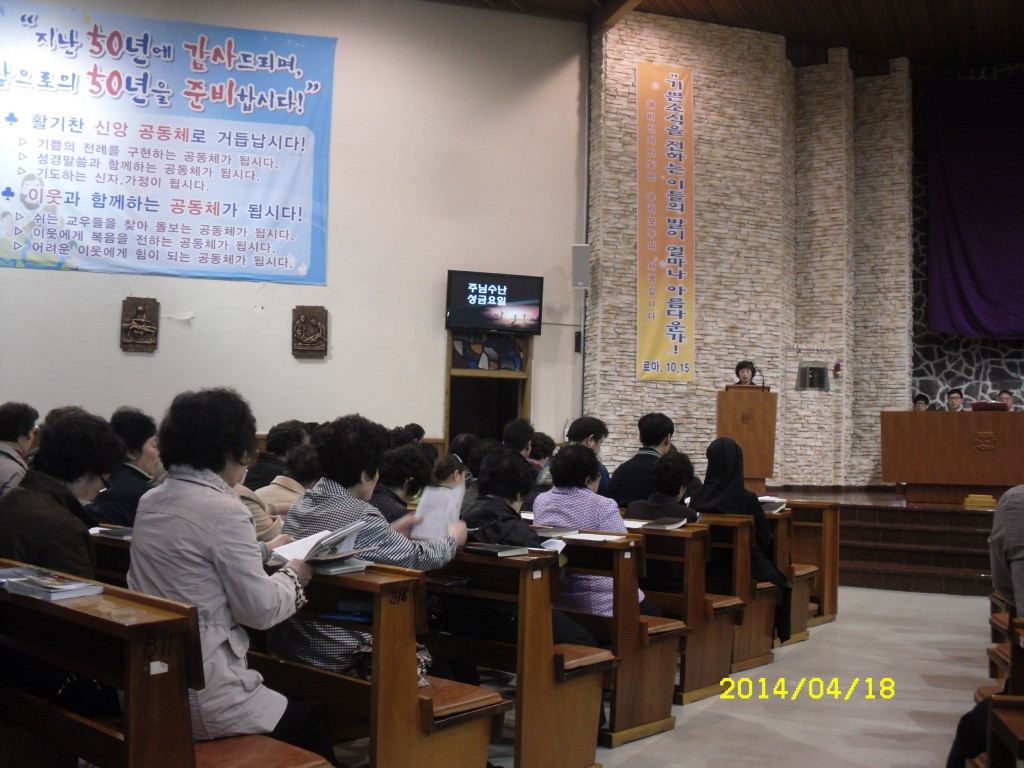 SDC12662.JPG