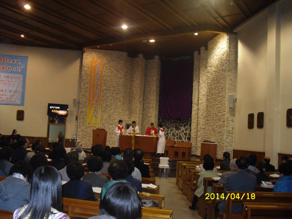 SDC12698.JPG
