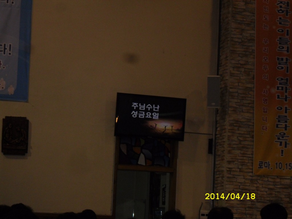 SDC12651.JPG