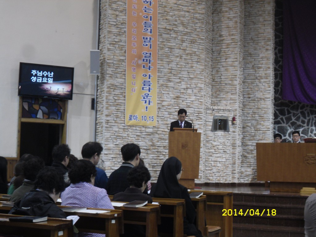SDC12658.JPG
