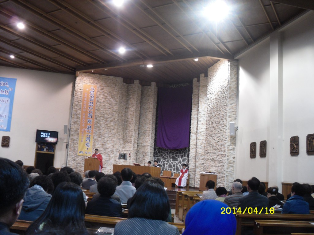 SDC12677.JPG