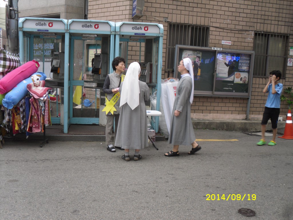 SDC15527.JPG