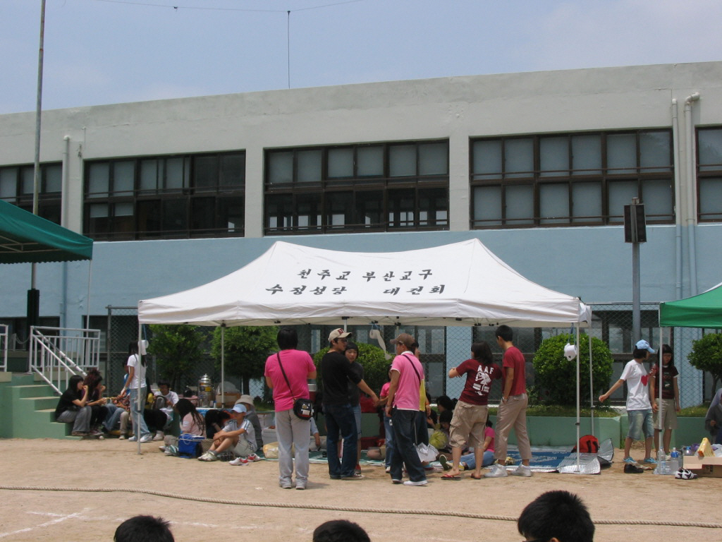 IMG 08-263.jpg