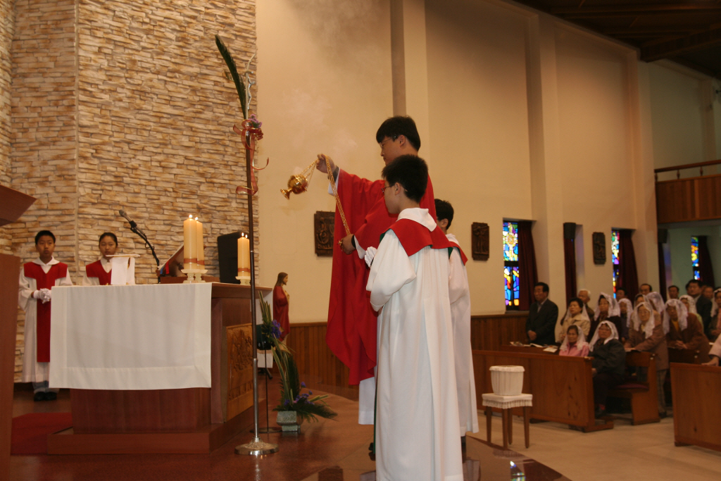 img 07-95.jpg