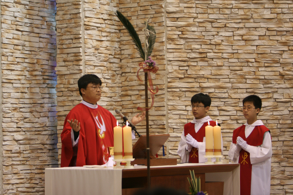 img 07-96.jpg
