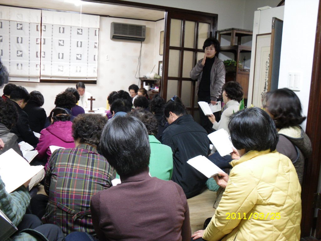 SDC14151.JPG