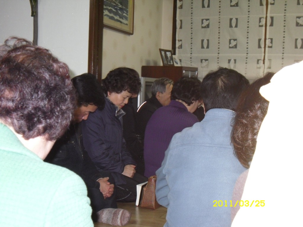 SDC14178.JPG