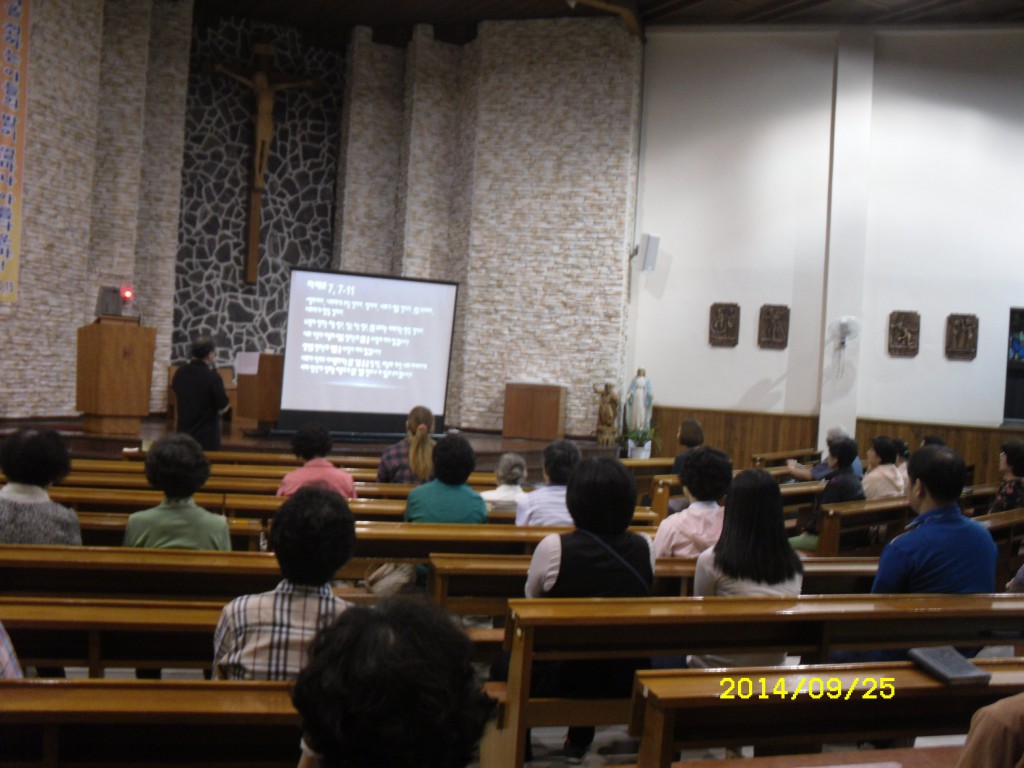 SDC15716.JPG