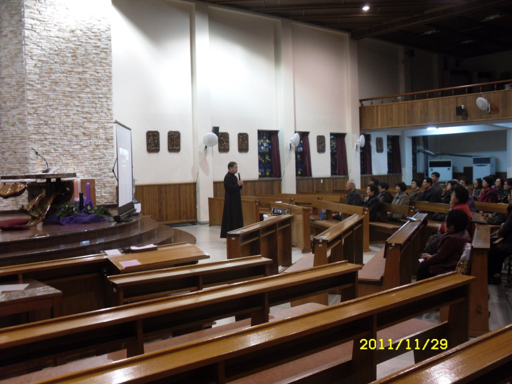 SDC17710.JPG