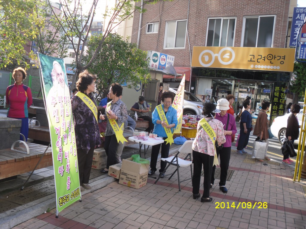 SDC15731.JPG