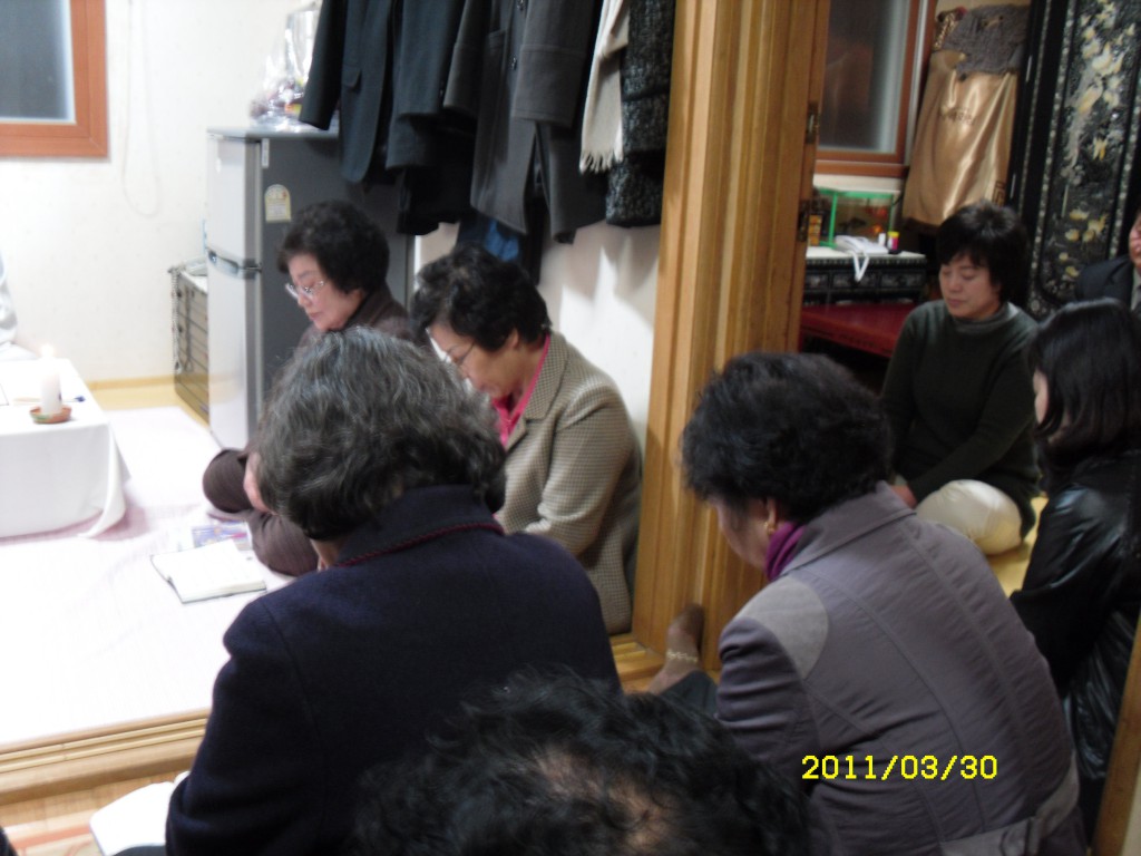 SDC14213.JPG
