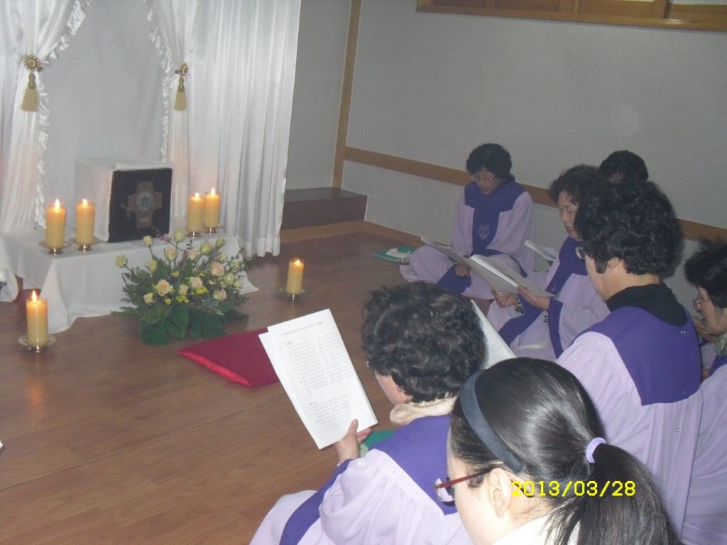 SDC15009.JPG