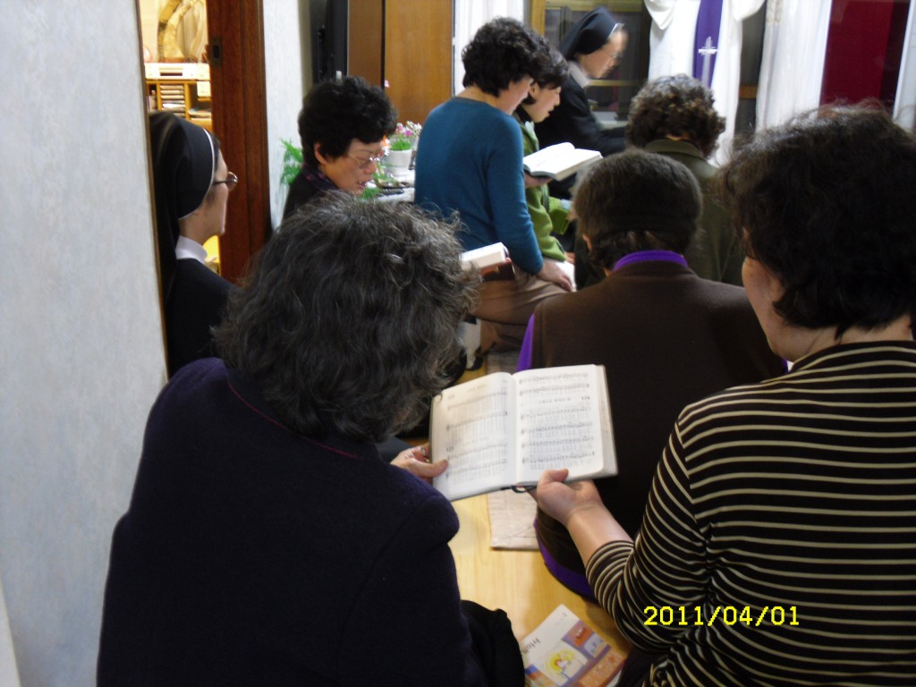 SDC14254.JPG