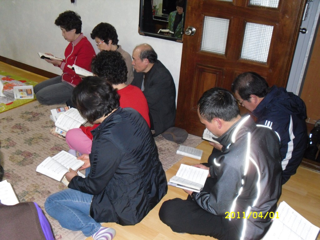 SDC14256.JPG
