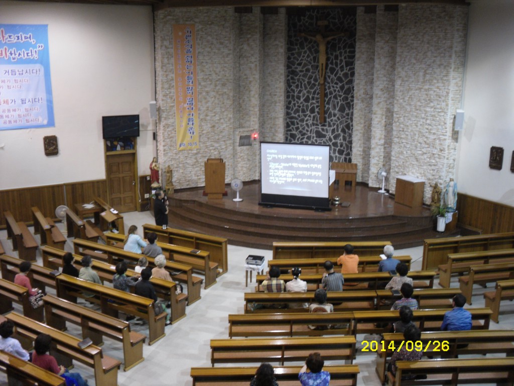 SDC15782.JPG