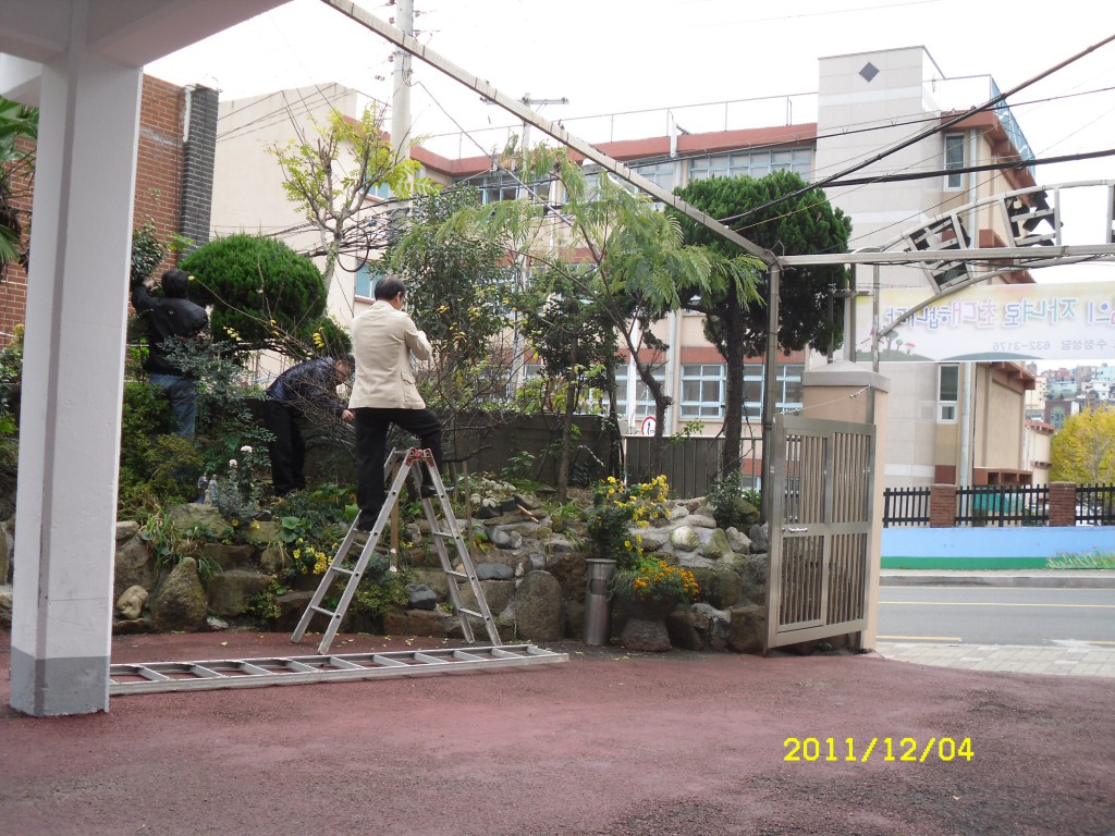SDC17815.JPG