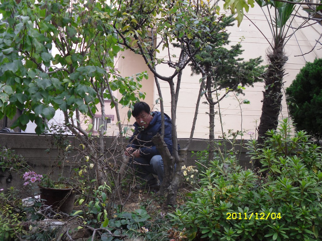 SDC17804.JPG