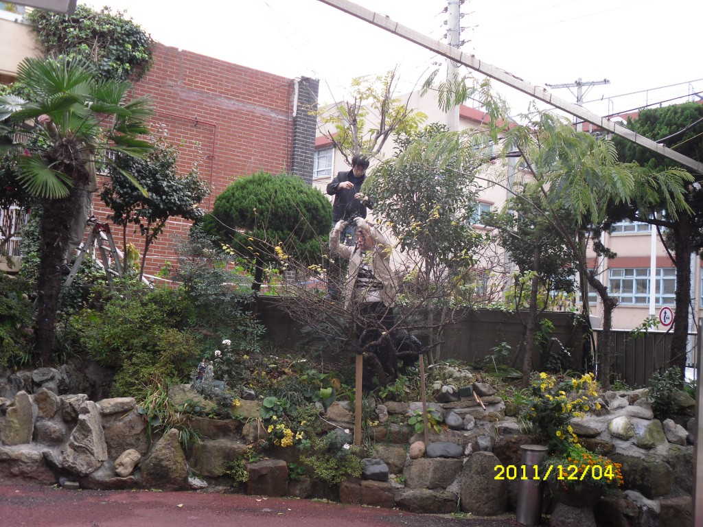 SDC17814.JPG