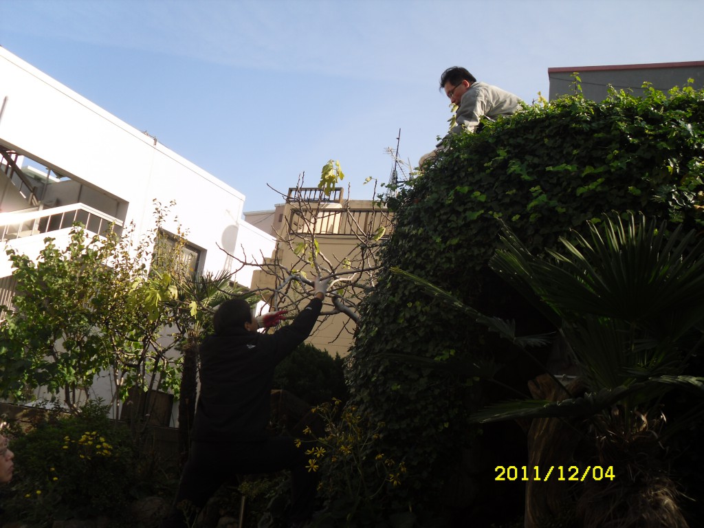 SDC17775.JPG