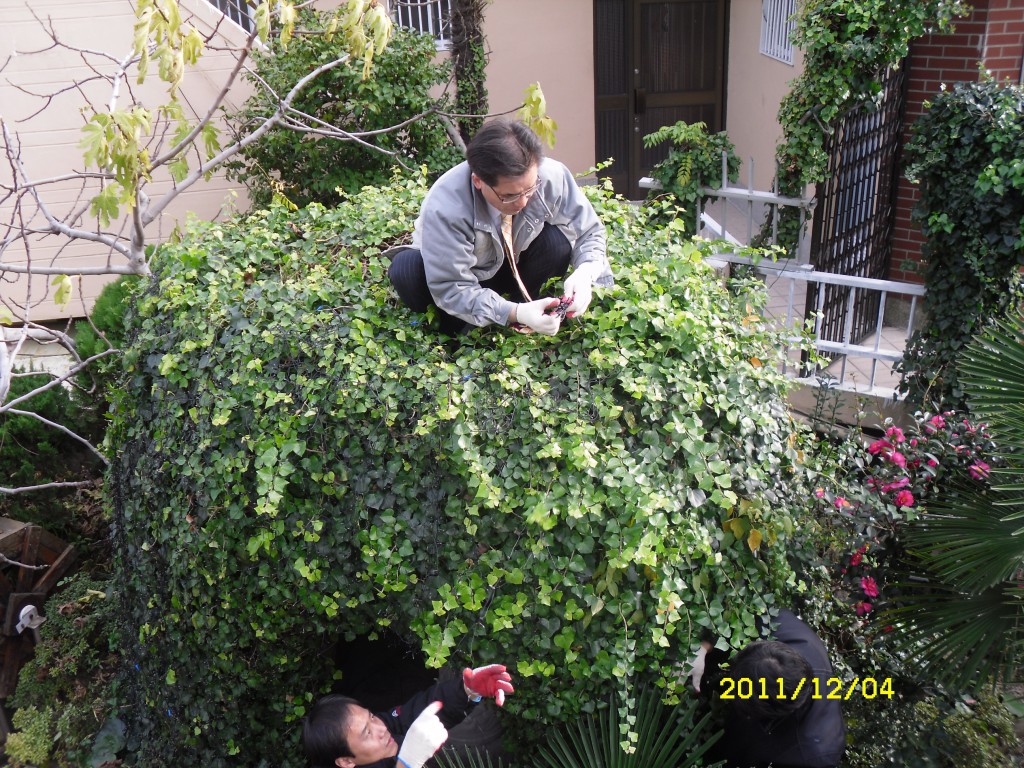 SDC17781.JPG