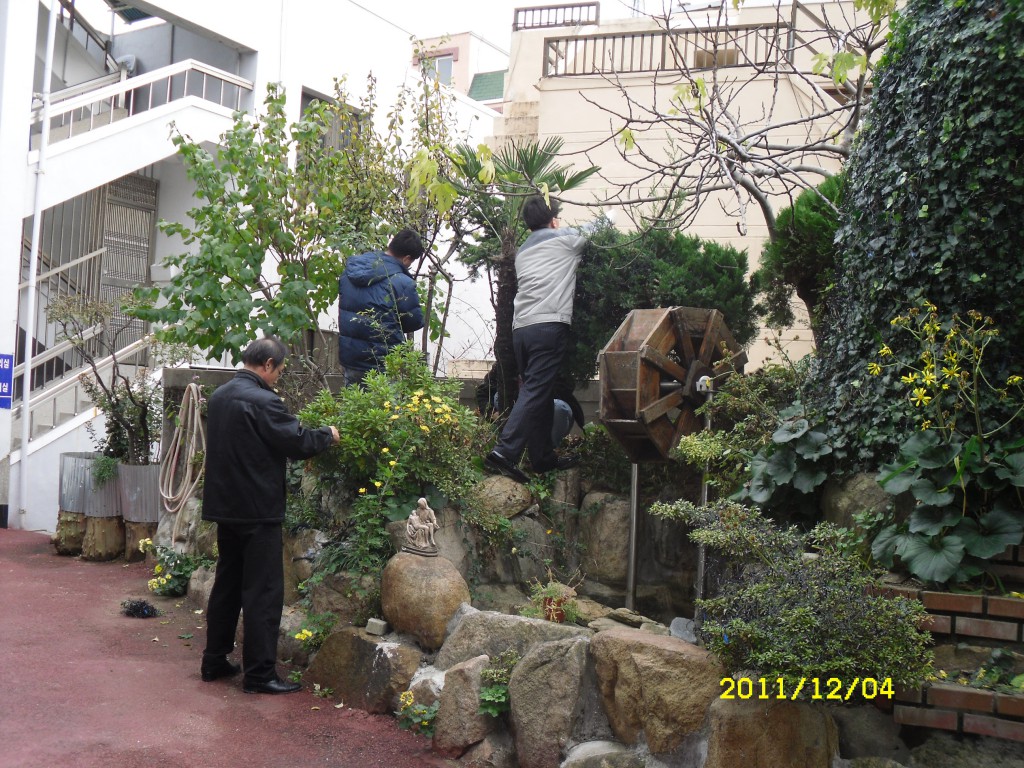 SDC17819.JPG
