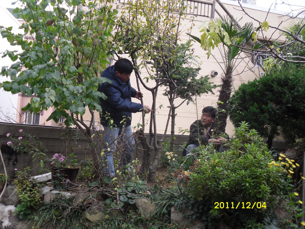 SDC17806.JPG