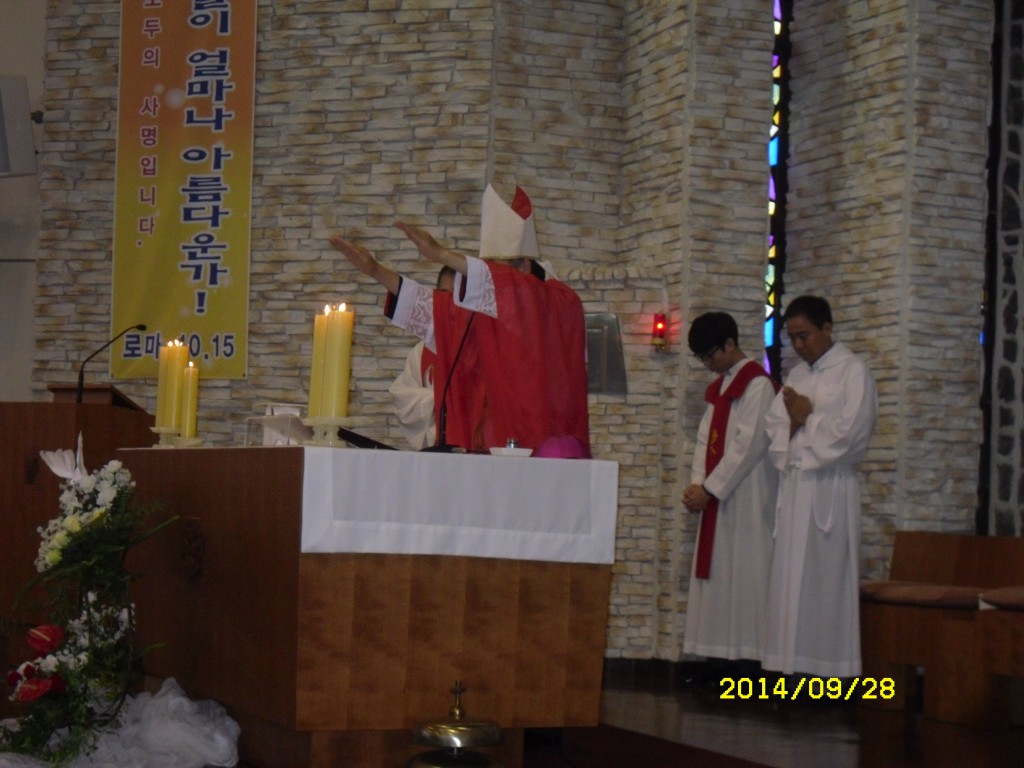 SDC15850.JPG