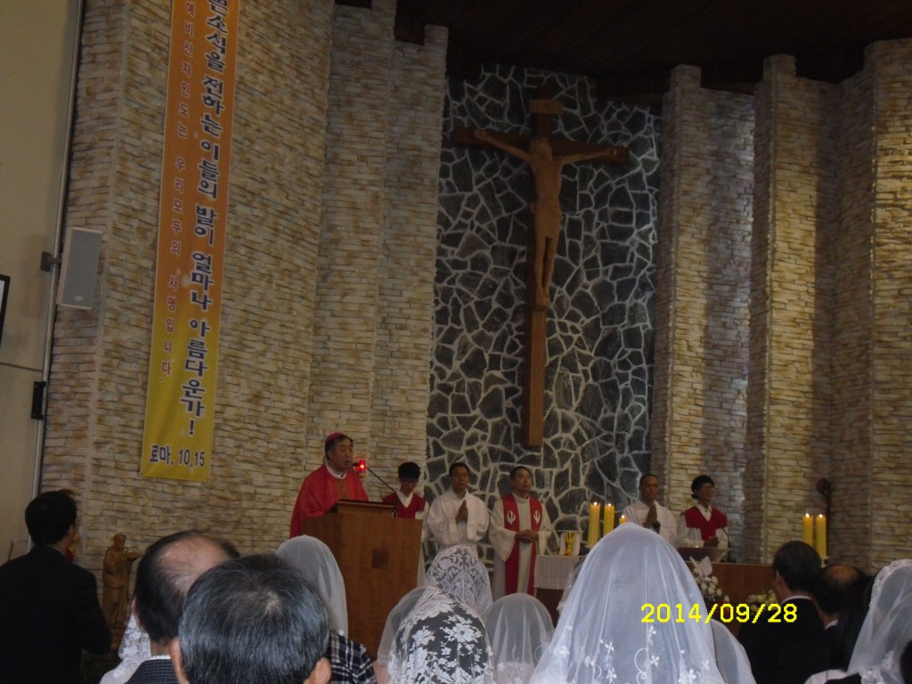 SDC15825.JPG