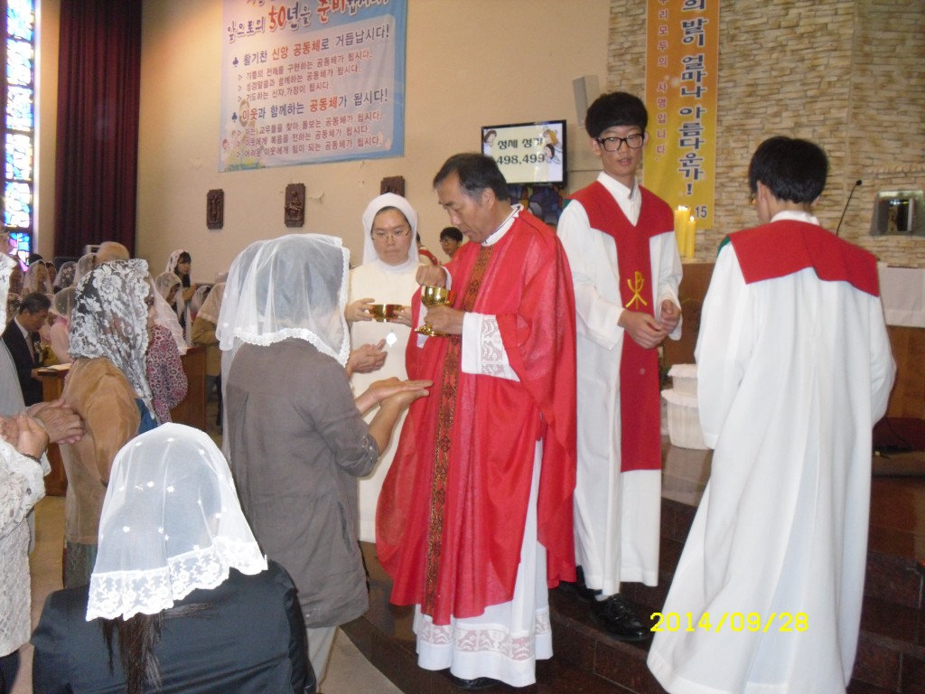 SDC15921.JPG