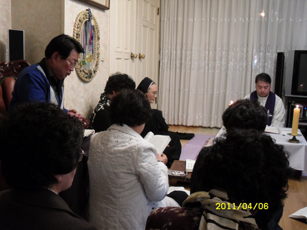 SDC14286.JPG