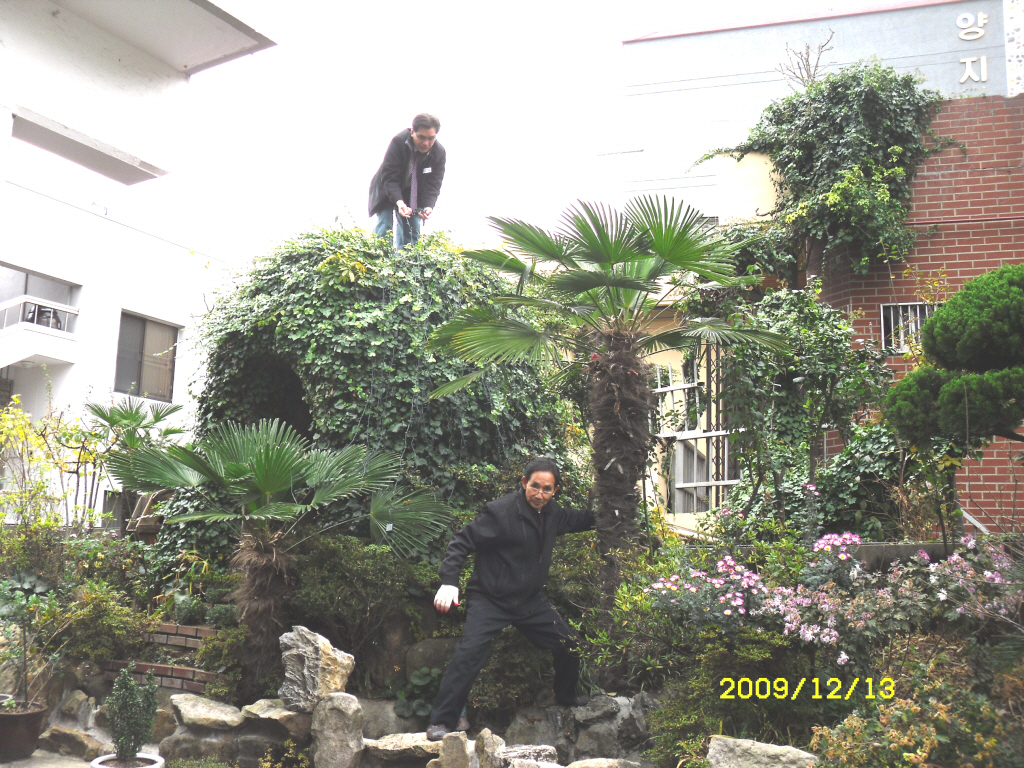 IMG 09-532.JPG