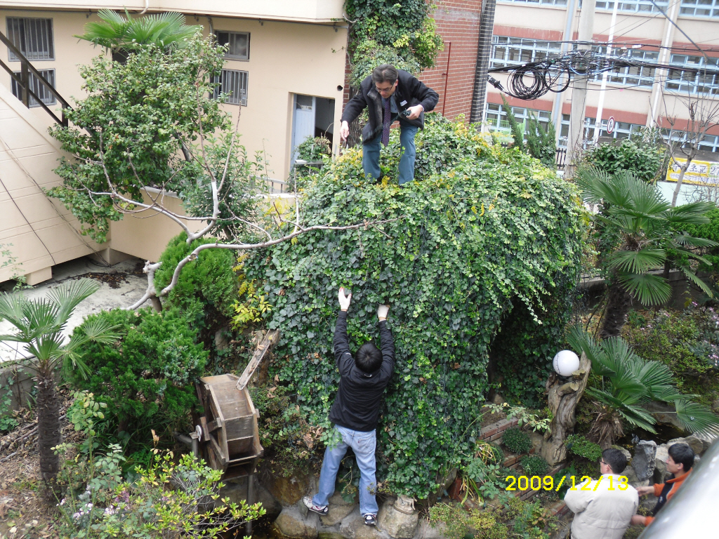 IMG 09-535.JPG