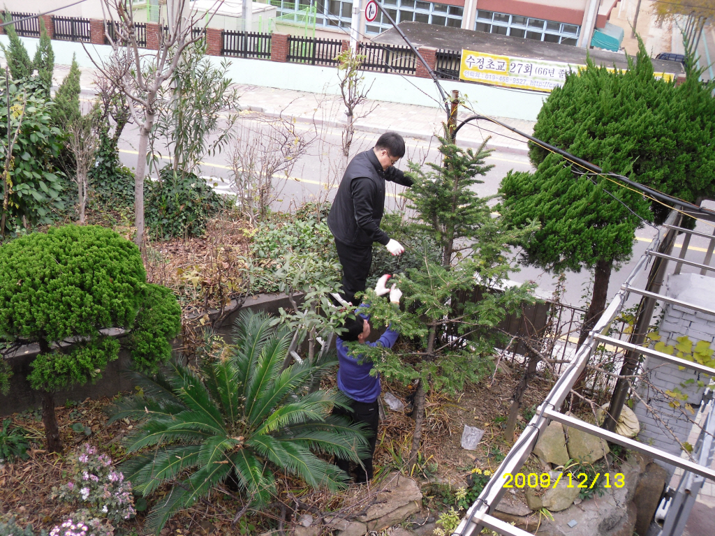 IMG 09-536.JPG