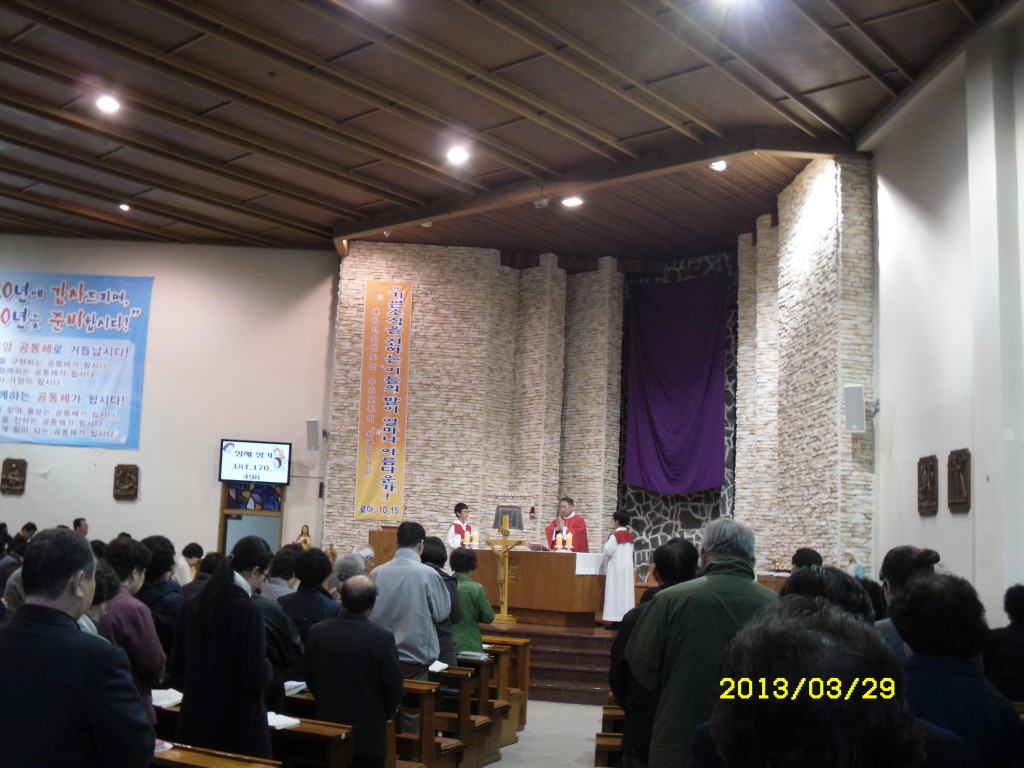 SDC15082.JPG