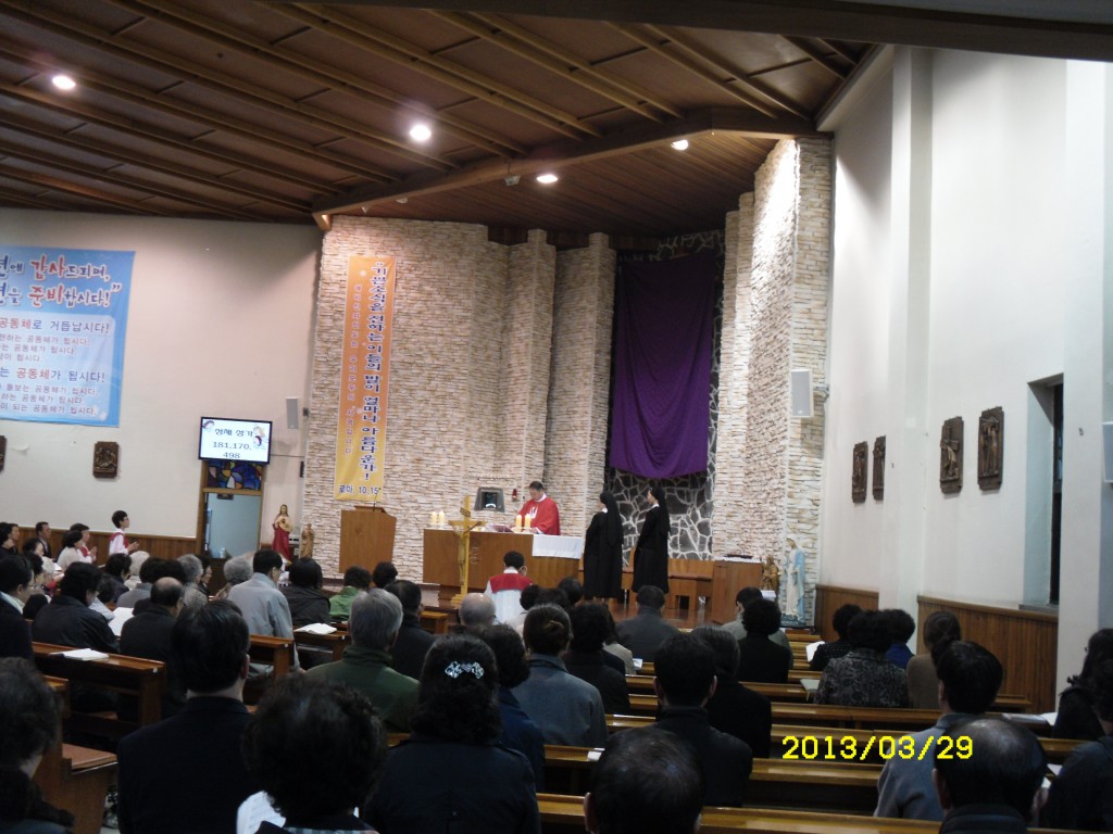 SDC15074.JPG