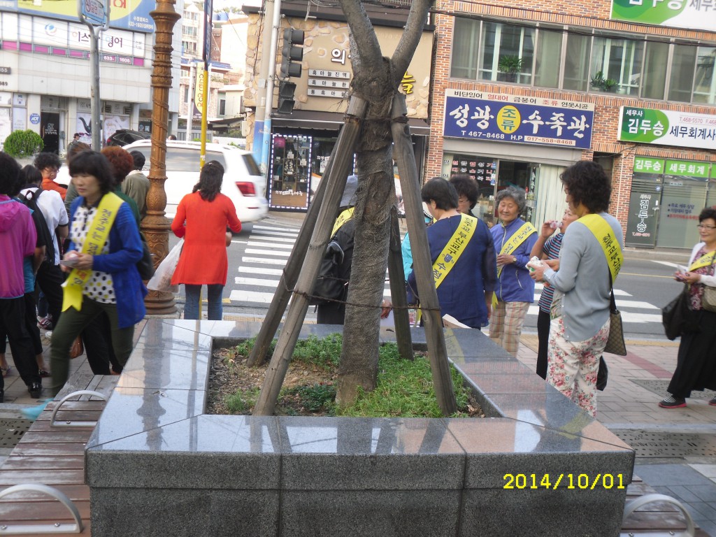 SDC16030.JPG