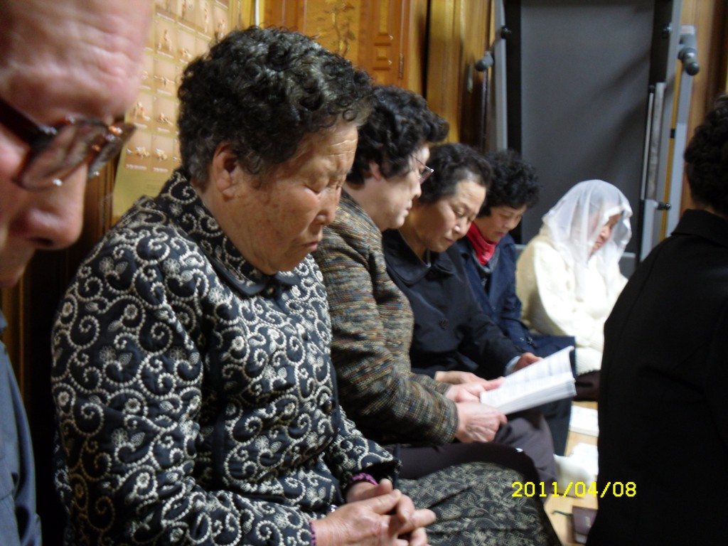 SDC14326.JPG