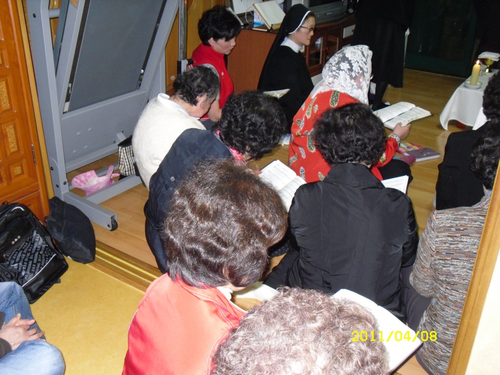 SDC14358.JPG