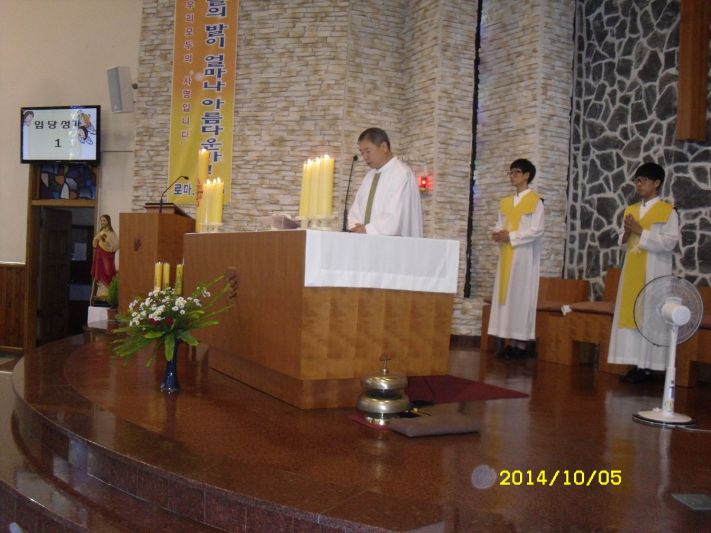 SDC16072.JPG
