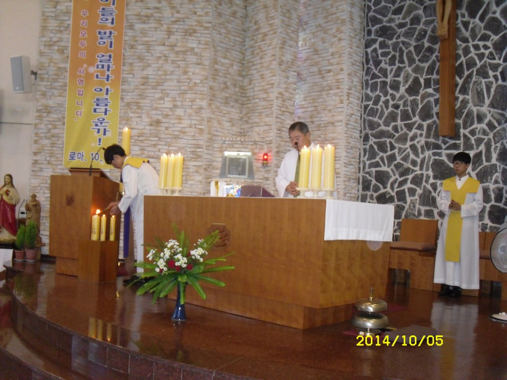 SDC16088.JPG