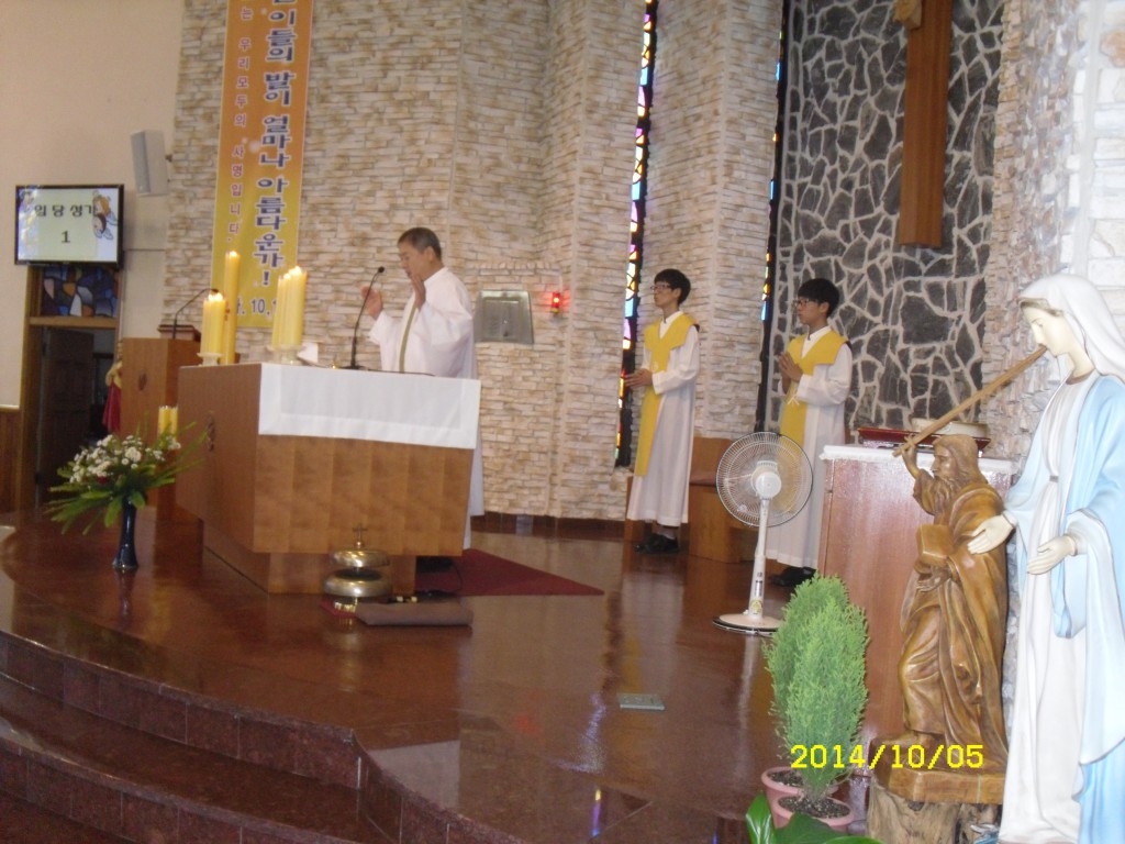 SDC16074.JPG