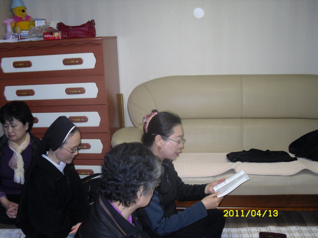 SDC14511.JPG