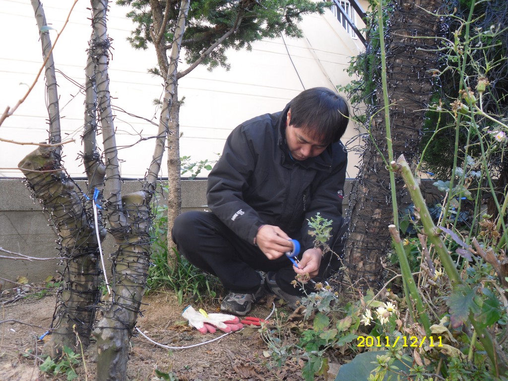 SDC17852.JPG