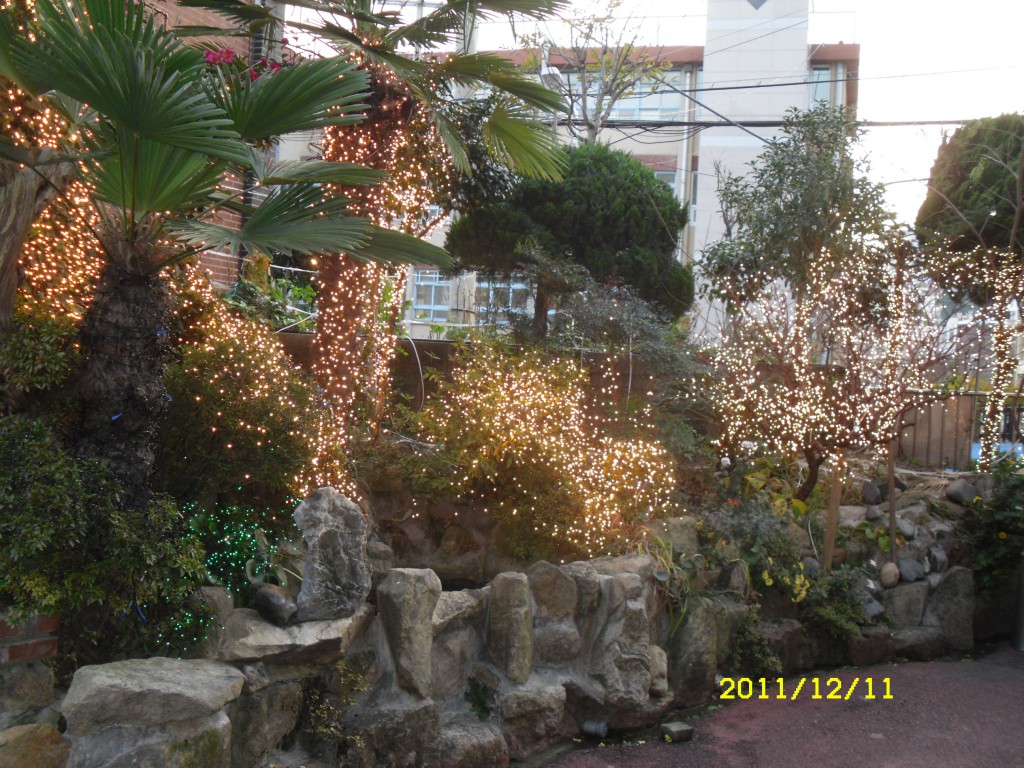 SDC17892.JPG