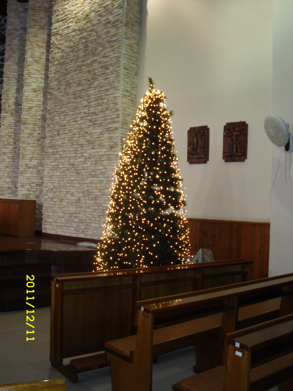 SDC17874.JPG